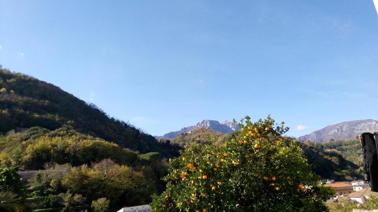L'Antico Giardino Bed and Breakfast Vietri Εξωτερικό φωτογραφία