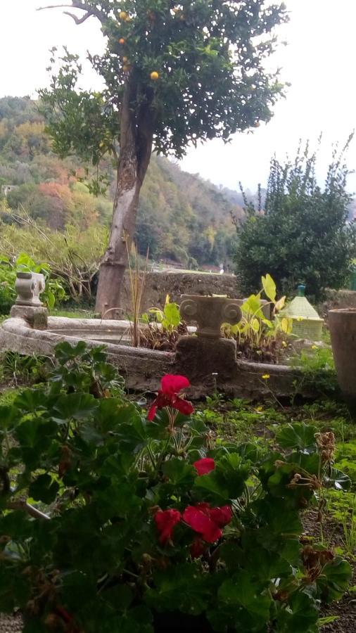 L'Antico Giardino Bed and Breakfast Vietri Εξωτερικό φωτογραφία