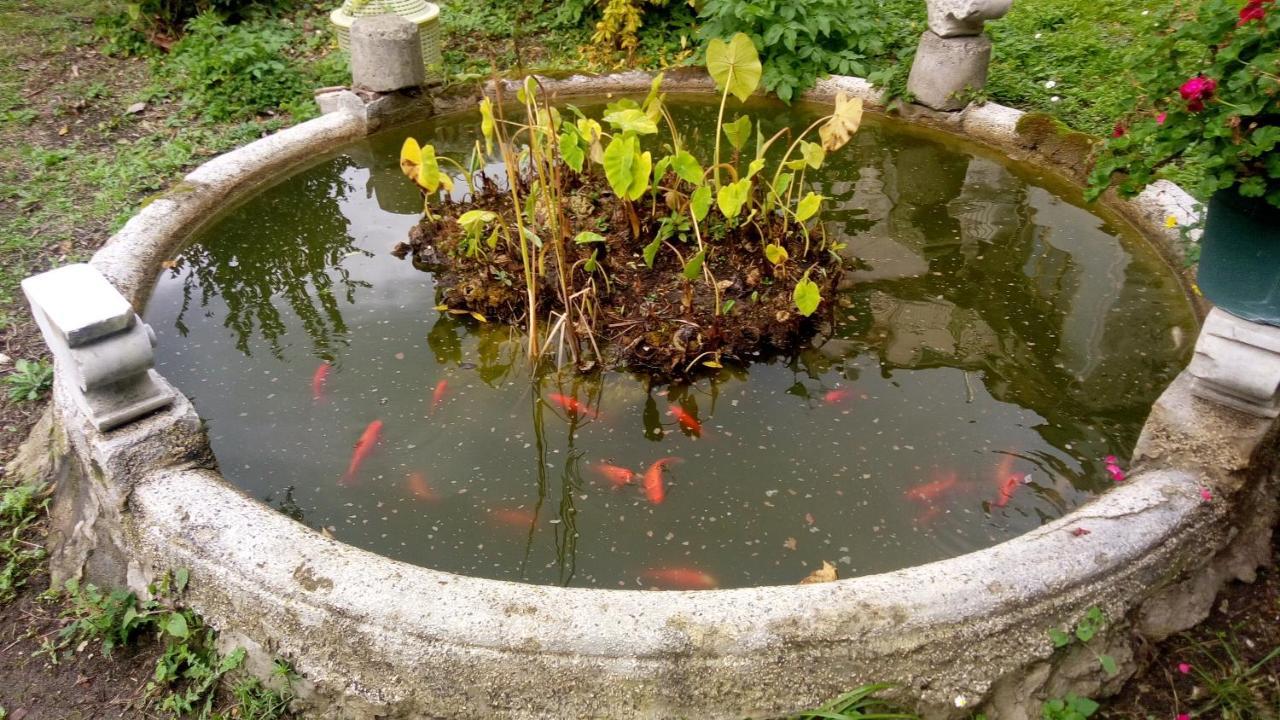 L'Antico Giardino Bed and Breakfast Vietri Εξωτερικό φωτογραφία